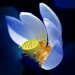 《Achilles: Survivor》正在根据试玩版反馈进行优化